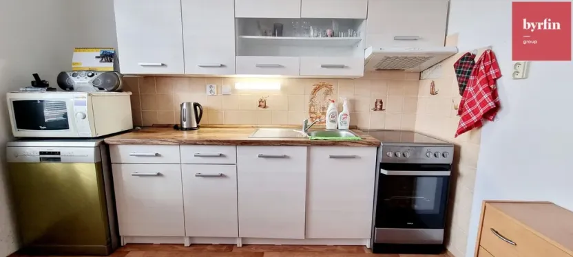 Pronájem bytu 1+1, Opava, 17. listopadu, 38 m2