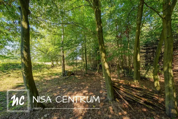 Prodej lesa, Obruby, 3075 m2