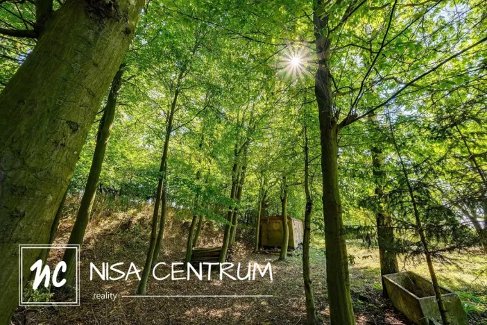 Prodej lesa, Obruby, 3075 m2