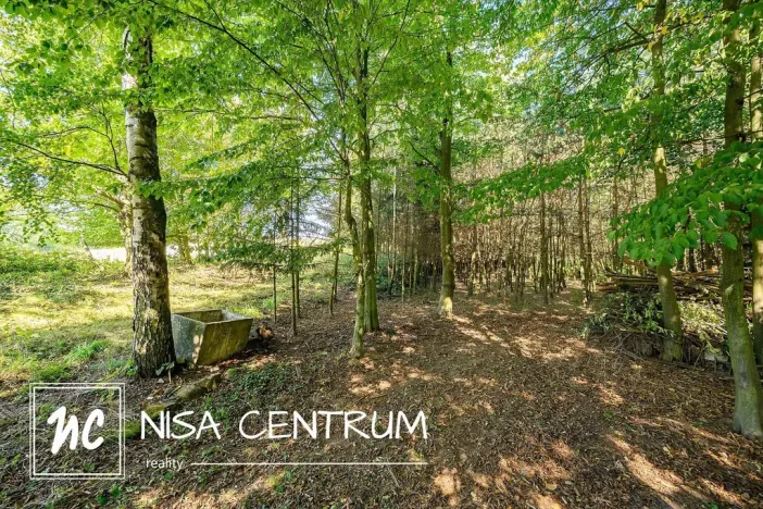 Prodej lesa, Obruby, 3075 m2