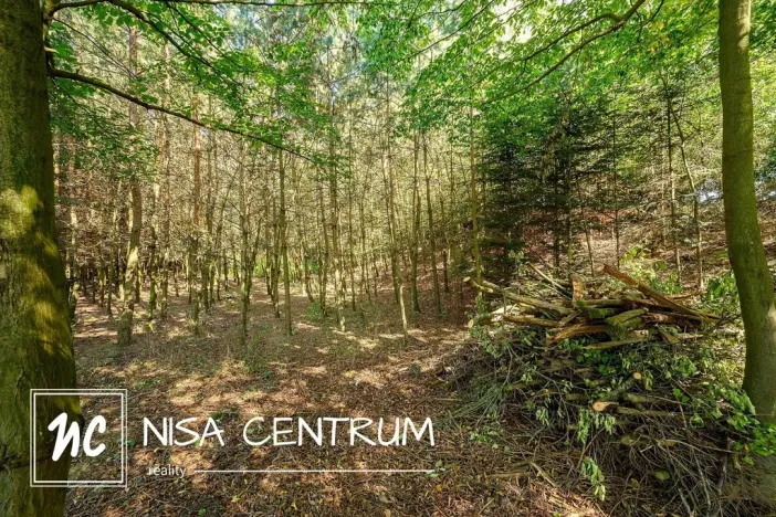 Prodej lesa, Obruby, 3075 m2