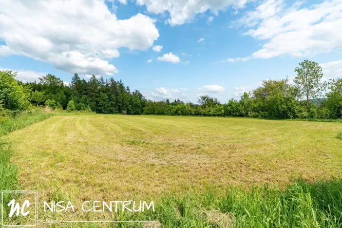 Prodej pozemku pro bydlení, Železný Brod, 3984 m2