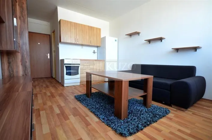 Pronájem bytu 1+kk, Chomutov, Seifertova, 22 m2