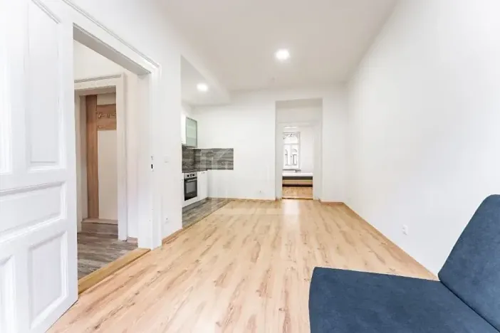 Prodej bytu 1+1, Praha - Nusle, Oldřichova, 48 m2