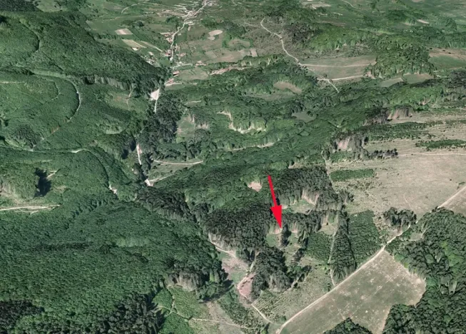 Prodej podílu lesa, Nedašov, 386 m2