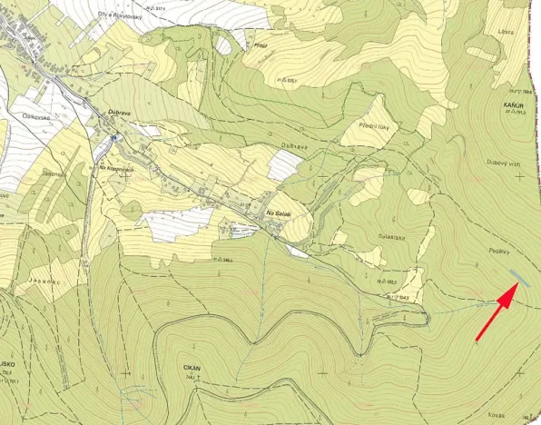 Prodej podílu lesa, Nedašov, 386 m2