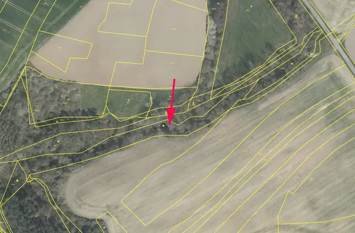 Prodej lesa, Dobříč, 4593 m2