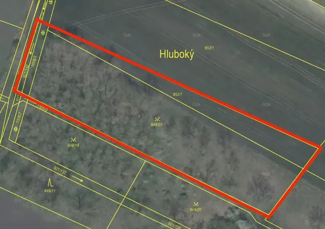 Prodej podílu lesa, Koštice, 1499 m2