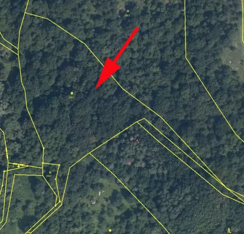 Prodej lesa, Žiželice, 10077 m2