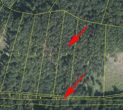 Prodej podílu lesa, Vranová Lhota, 2021 m2