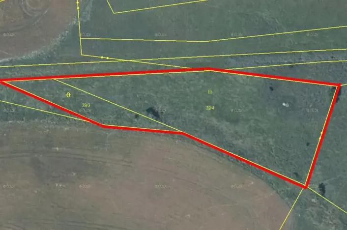 Prodej louky, Česká Lípa, 3703 m2