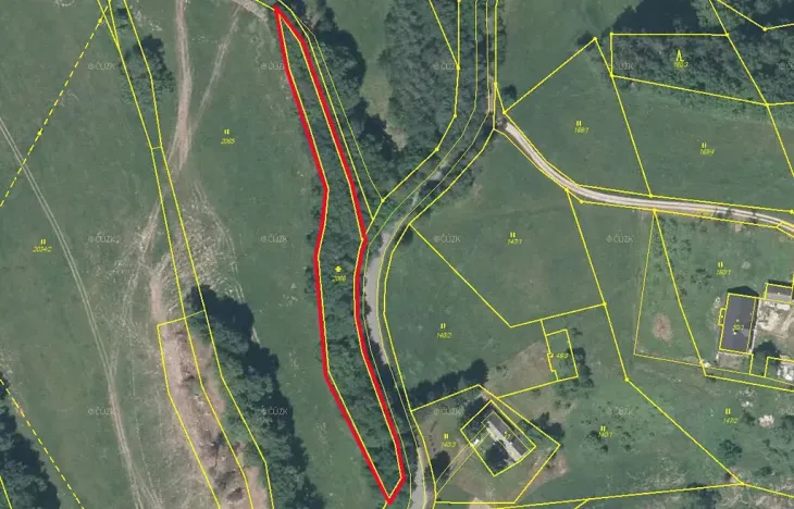 Prodej lesa, Dubnice, 2000 m2