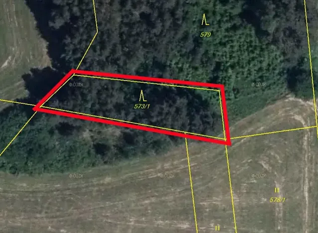 Prodej lesa, Úlehle, 21886 m2