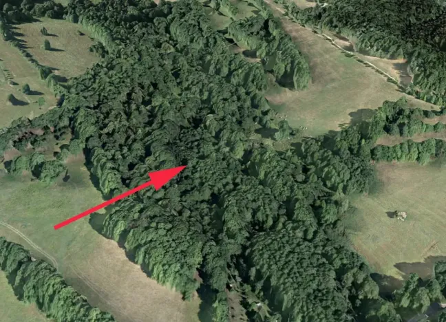 Prodej lesa, Trutnov, 13585 m2