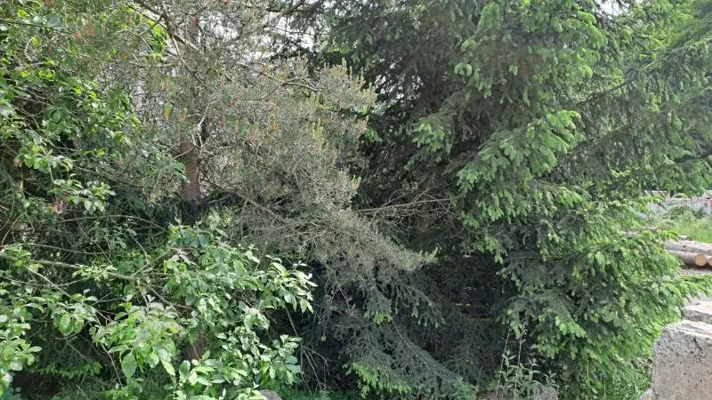 Prodej pozemku, Nejdek, 104 m2