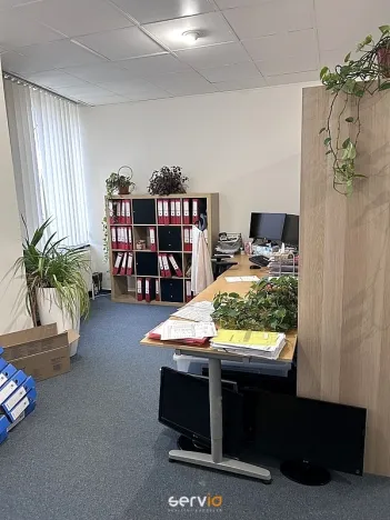 Pronájem kanceláře, Brno, Kobližná, 167 m2