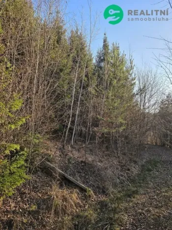 Prodej lesa, Vsetín, Semetín, 96946 m2