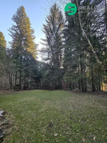 Prodej lesa, Vsetín, Semetín, 96946 m2