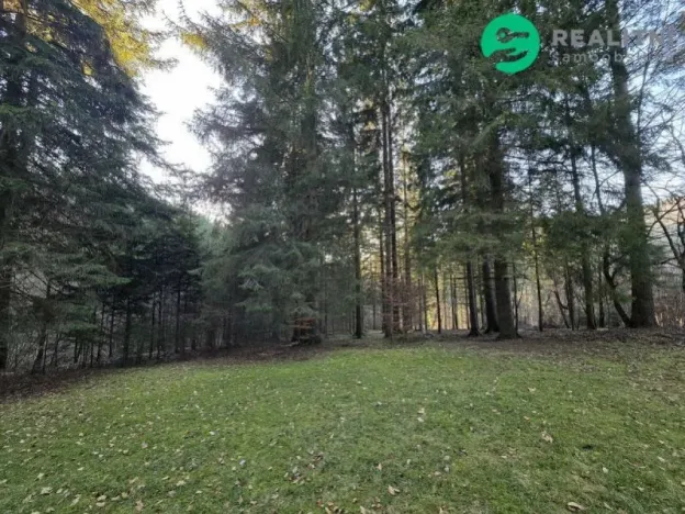 Prodej lesa, Vsetín, Semetín, 96946 m2