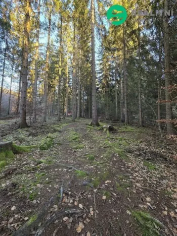 Prodej lesa, Vsetín, Semetín, 96946 m2