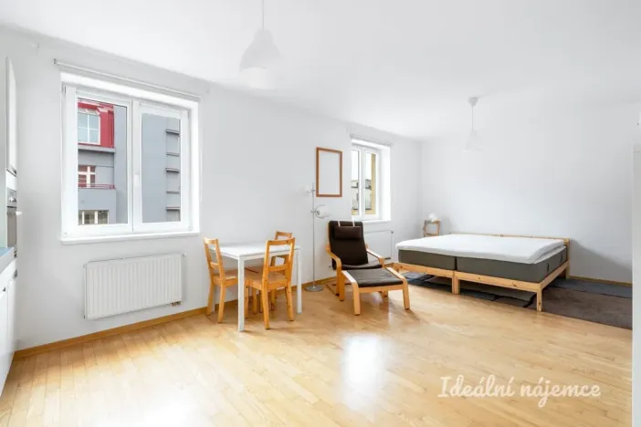 Pronájem bytu 1+kk, Praha - Vinohrady, Lucemburská, 40 m2