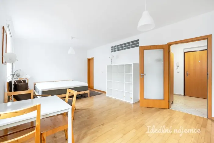 Pronájem bytu 1+kk, Praha - Vinohrady, Lucemburská, 40 m2