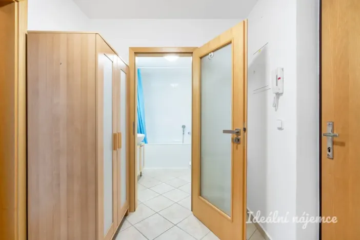 Pronájem bytu 1+kk, Praha - Vinohrady, Lucemburská, 40 m2