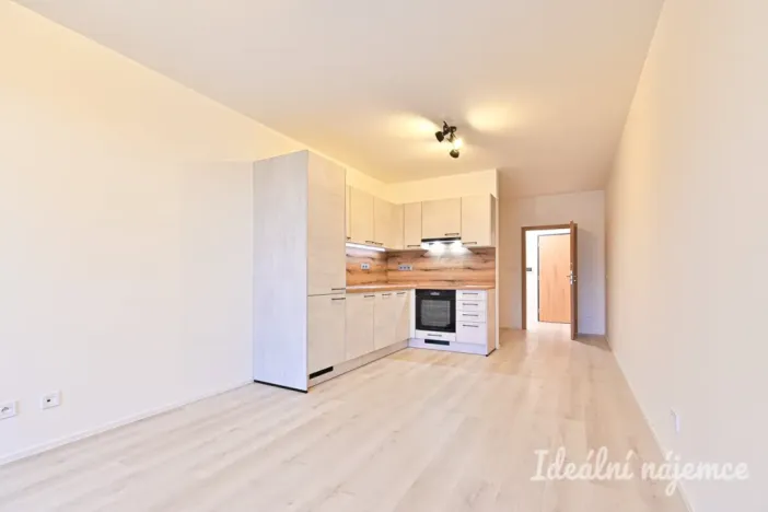 Pronájem bytu 1+kk, Brno, Dornych, 37 m2