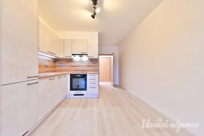 Pronájem bytu 1+kk, Brno, Dornych, 37 m2