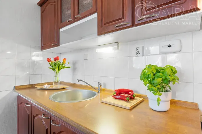 Pronájem bytu 2+kk, Ústí nad Labem - Severní Terasa, Rabasova, 42 m2