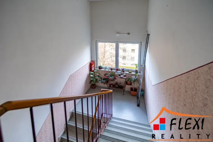 Prodej bytu 3+kk, Ostrava - Výškovice, Staňkova, 71 m2