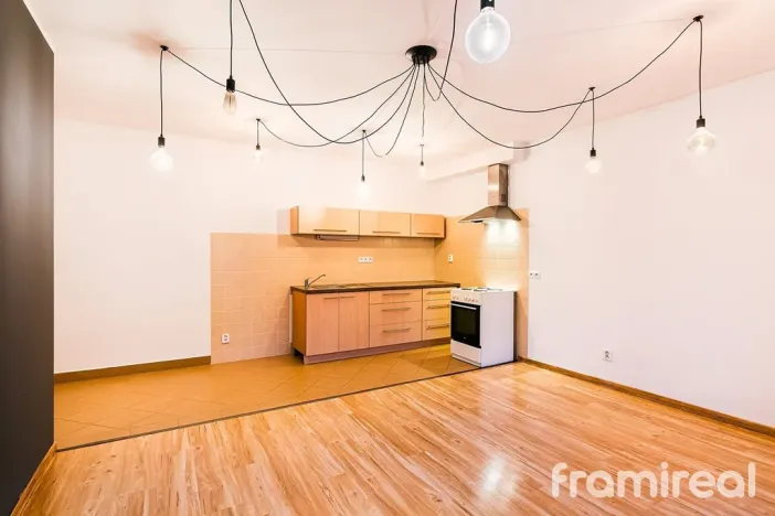 Pronájem bytu 2+kk, Brno, Starobrněnská, 50 m2