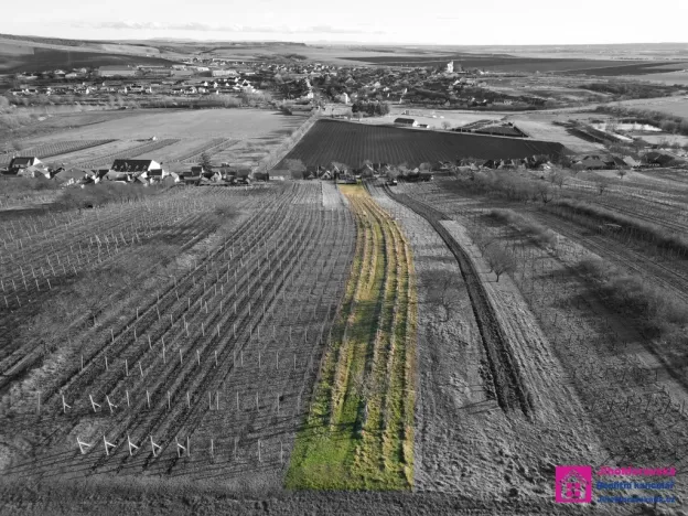 Prodej sadu/vinice, Bořetice, 2567 m2