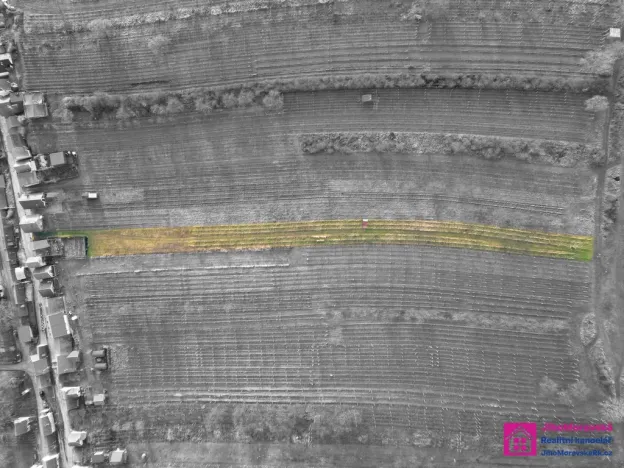 Prodej sadu/vinice, Bořetice, 2567 m2