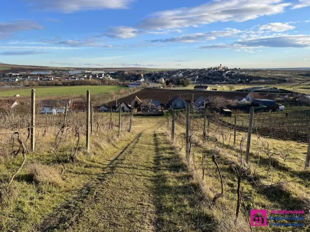 Prodej sadu/vinice, Bořetice, 2567 m2