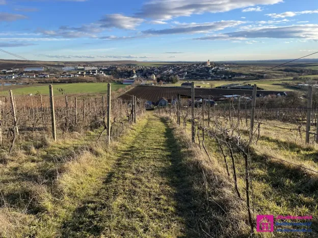 Prodej sadu/vinice, Bořetice, 2567 m2