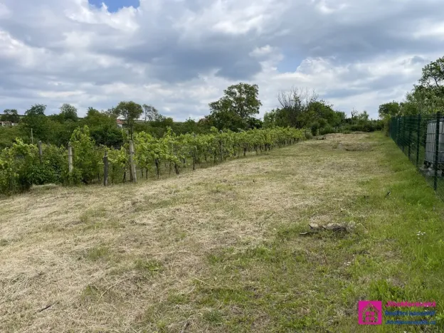 Prodej zahrady, Mikulov, Nová, 935 m2