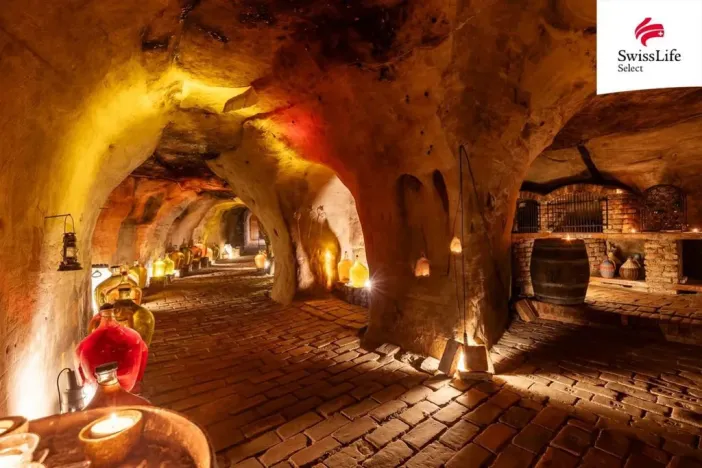 Prodej ubytování, Nový Šaldorf-Sedlešovice, Na Staré cestě, 176 m2