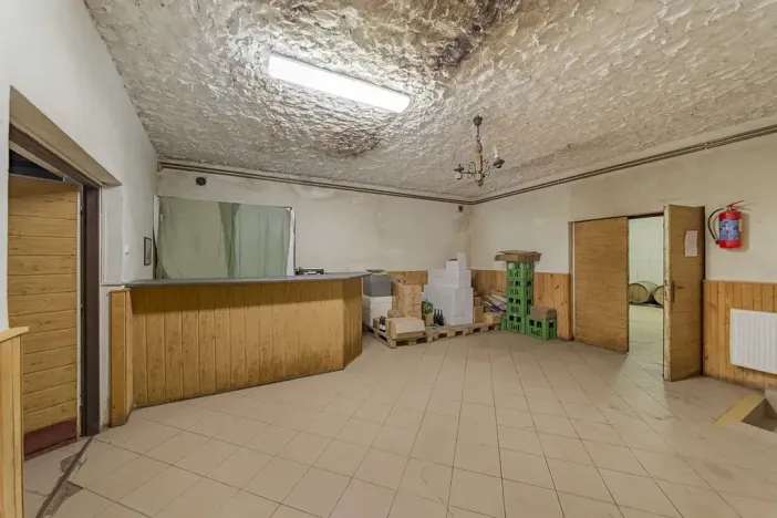 Prodej výrobních prostor, Velké Pavlovice, Trávníky, 2000 m2