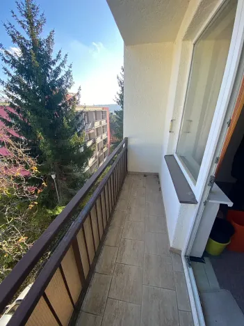 Prodej bytu 2+1, Brno, Plevova, 58 m2