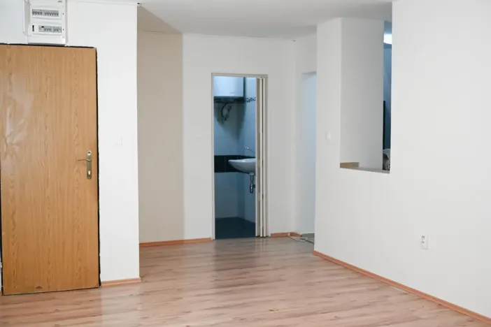 Pronájem bytu 1+1, Praha - Nusle, Družstevní, 36 m2