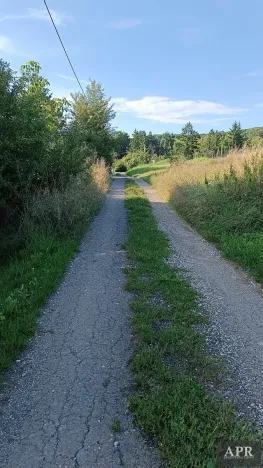 Prodej zahrady, Uherský Brod, 1078 m2