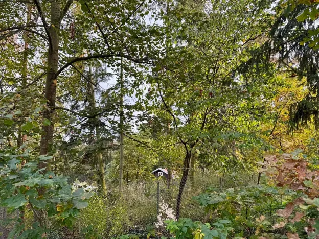 Pronájem chaty, Kamýk nad Vltavou, 50 m2