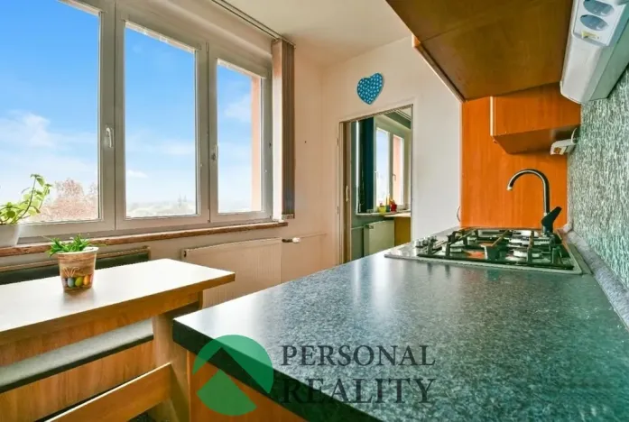 Prodej bytu 2+1, Cheb, Žižkova, 55 m2