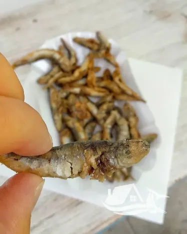 Prodej rodinného domu, Primorsko, Bulharsko, 118 m2