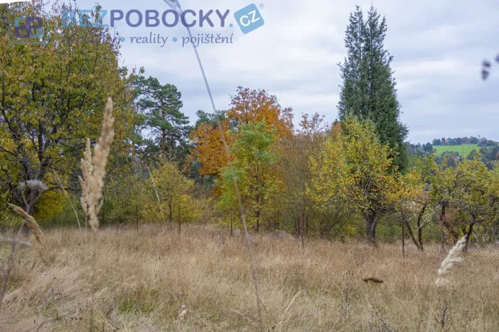 Prodej pozemku pro bydlení, Baliny, 1962 m2