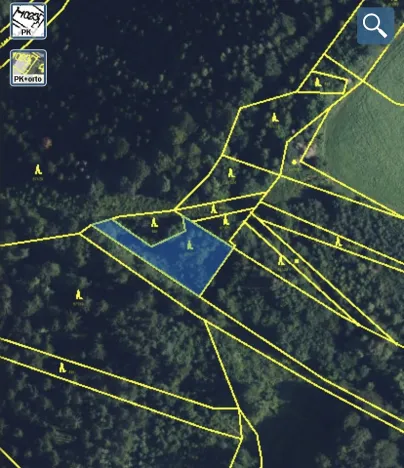 Prodej lesa, Jedlí, 1198 m2