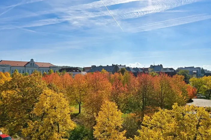 Prodej bytu 3+kk, Plzeň, Habrmannovo náměstí, 121 m2