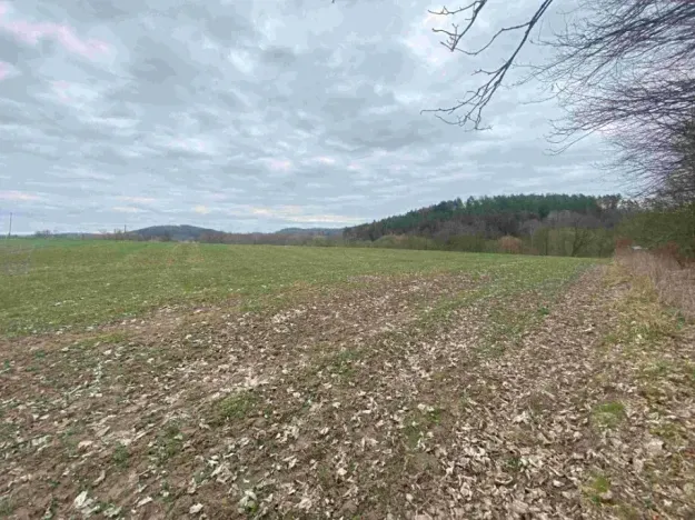 Dražba louky, Žinkovy, 4100 m2