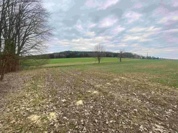 Dražba louky, Žinkovy, 4100 m2